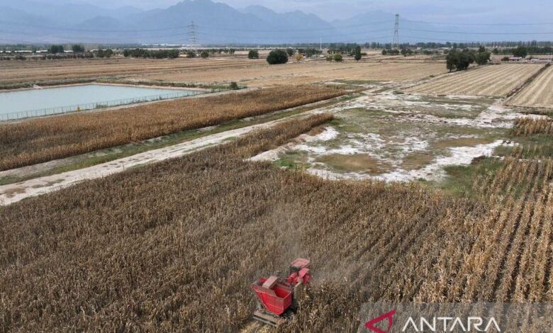 China perluas inisiatif subsidi untuk gantikan mesin pertanian usang