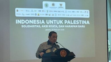 Wamenlu optimistis anggota OKI terlibat dalam rekonstruksi Kawasan Kawasan Gaza