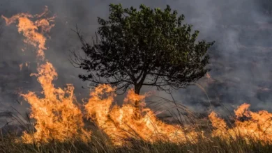 Ilmuwan Ungkap Peningkatkan Titik Panas yang tersebut dimaksud Akan Picu Kebakaran di area pada Asia Tenggara