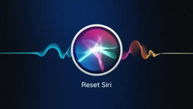 Apple Umumkan Tunda Sematkan Fitur Teknologi Artificial Intelligence di tempat tempat Siri