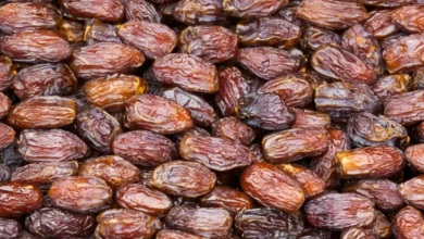 Kenapa Kurma Bagus untuk Berbuka Puasa? Inilah 5 Manfaat yang mana yang dimaksud Bisa Didapat