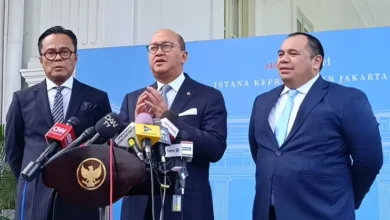 Konsolidasi Aset BUMN Masuk Tahap Akhir, Begini Bocoran direktur utama Danantara