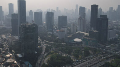 Makin Suram, OECD Pangkas Proyeksi Bidang Bisnis Indonesia Jadi 4,9% dalam area 2025