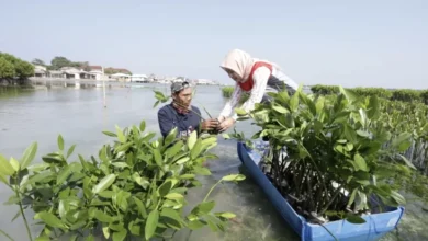 PHE OSES Lestarikan Alam juga Berdayakan Komunitas Pesisir