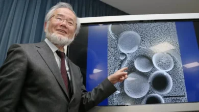 Profil Yoshinori Ohsumi, Peneliti Negeri Matahari Terbit yang mana Mendapat Nobel pasca Meneliti Manfaat Puasa