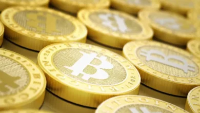 Tolak Kripto jadi Alat Pembayaran, Bos Bank Sentral Rusia: Sangat Fluktuatif