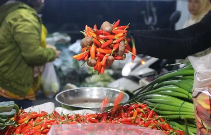 Update Harga Pangan Akhir Pekan 9 Maret 2025, Bawang, Cabai juga Beras Masih Naik