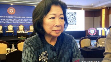 Wakil Ketua DEN menyarankan RI juga bernegosiasi dengan China