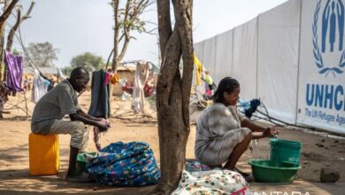 Komisi HAM: Korban tewas serangan pada Al-Nahud Sudan bertambah jadi 300